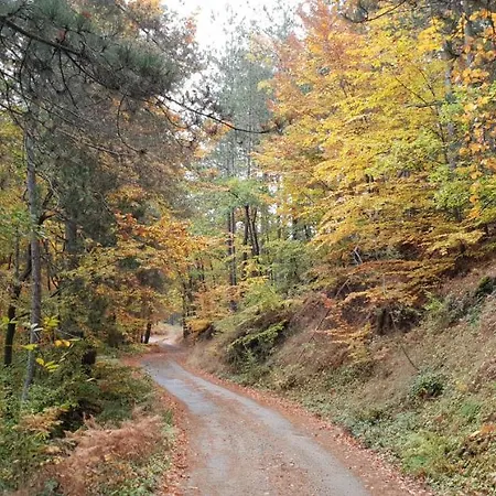 Karadzhovata Kashta 3*