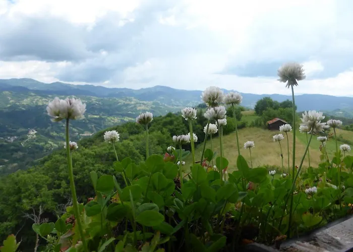 Karadzhovata Kashta 3* Złatograd