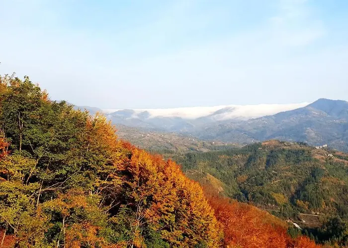 Pensjonat Karadzhovata Kashta