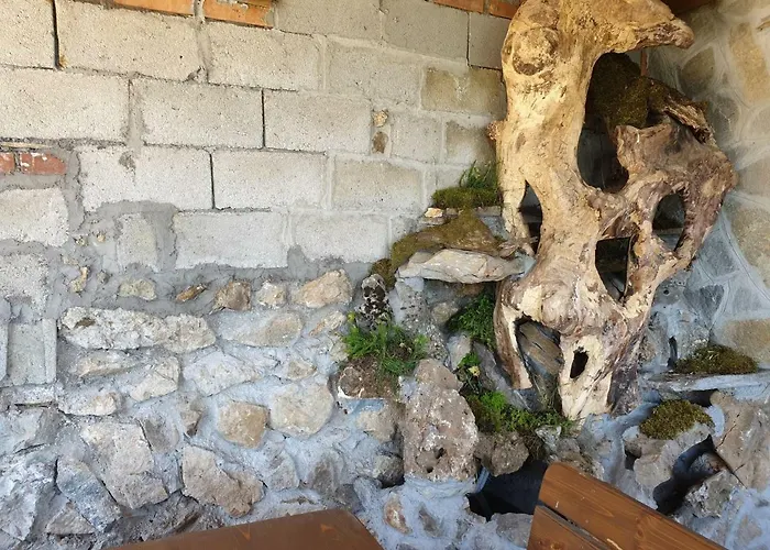 ゲストハウス Karadzhovata Kashta